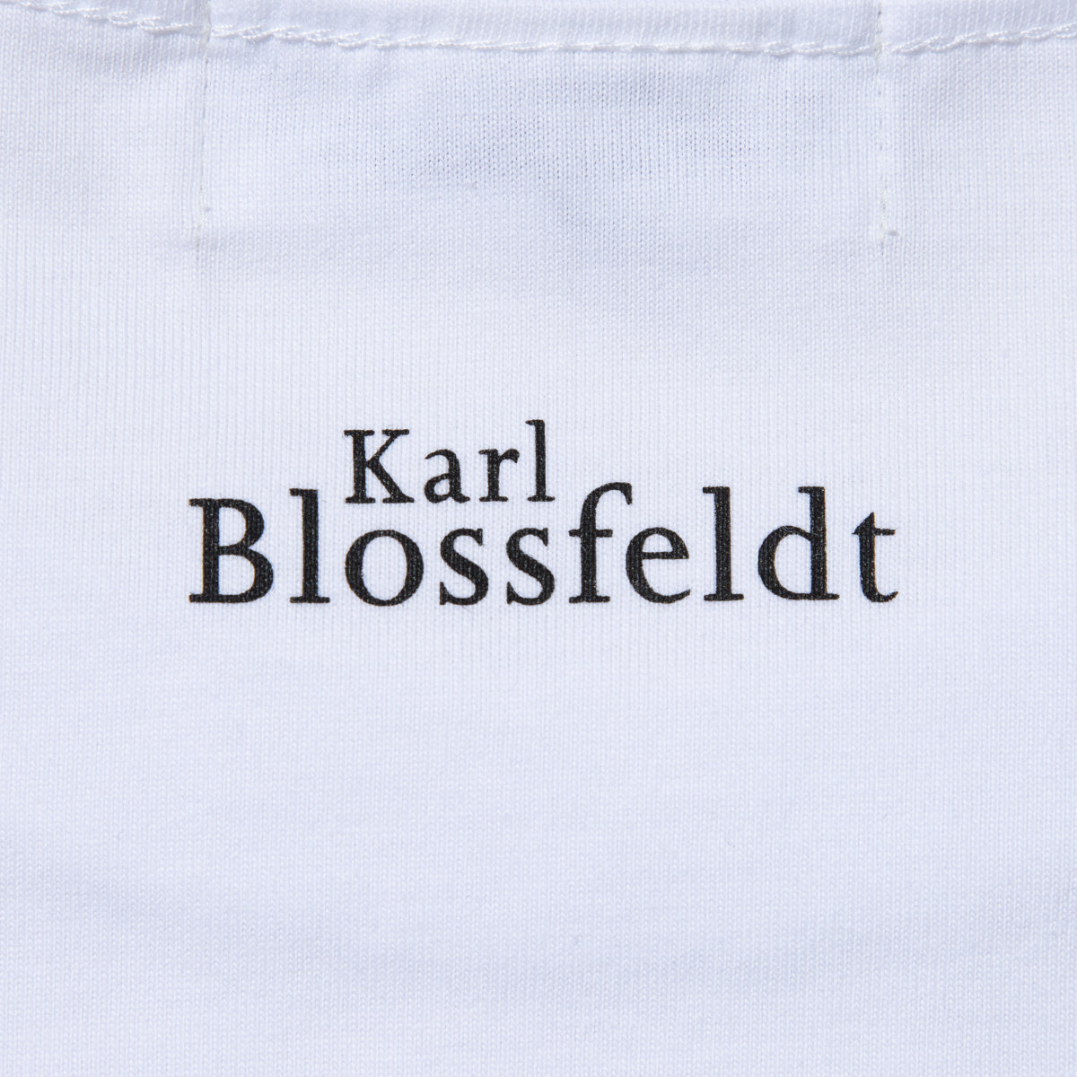 Kinetics WOMEN CORNUS FLORIDA T-Shirt キネティクスウィメン コーナス フロリダ Tシャツ 26SS-KBF-005【レディース 半袖 フォトTシャツ 綿素材 26SS】