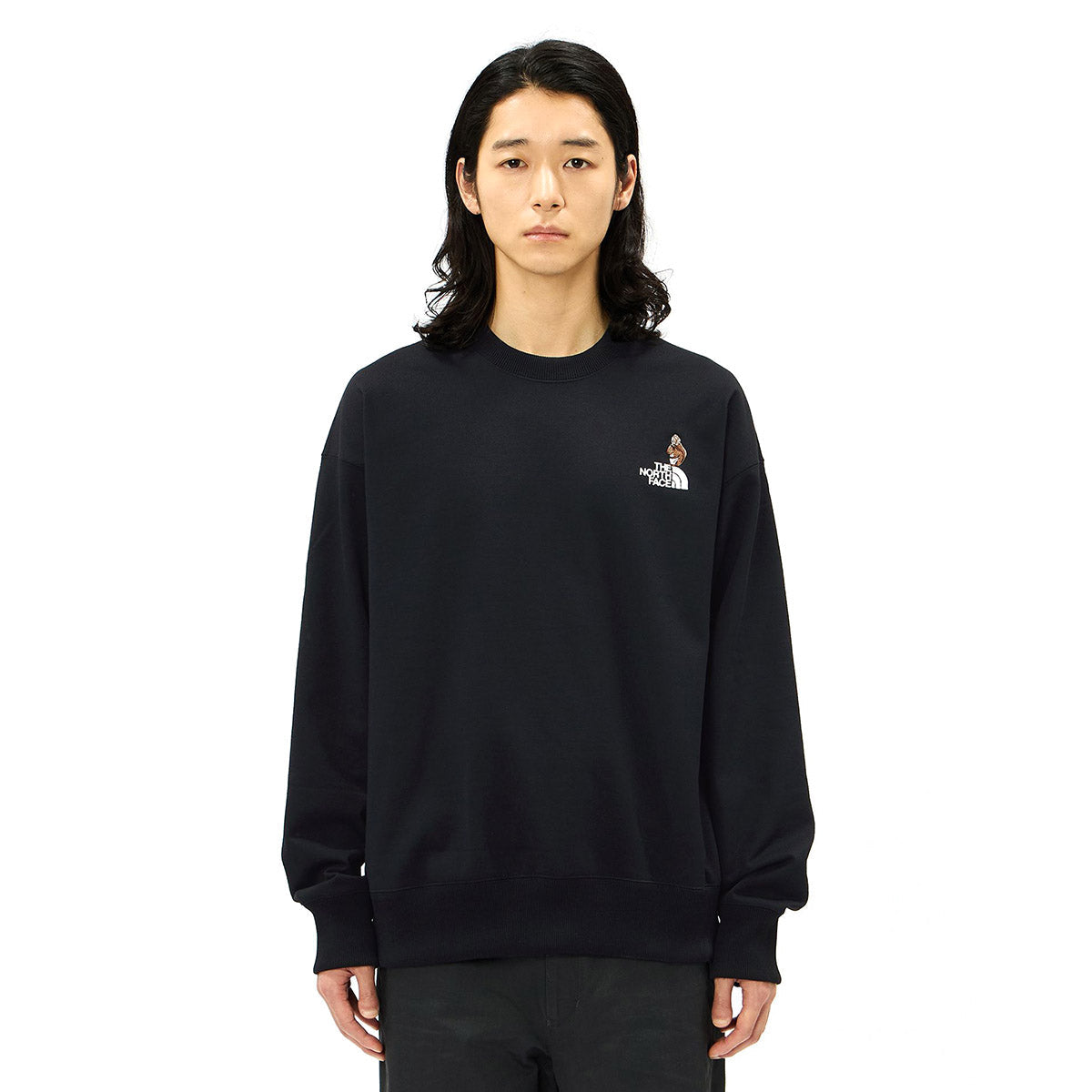 THE NORTH FACE Zoo Picker Crew ザ・ノース・フェイス ズーピッカークルー NT62638【メンズ トレーナー スウェット ロゴプリント アウトドア 長袖 26FW】