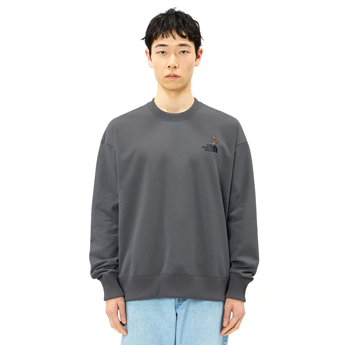 THE NORTH FACE Zoo Picker Crew ザ・ノース・フェイス ズーピッカークルー NT62638【メンズ トレーナー スウェット ロゴプリント アウトドア 長袖 26FW】