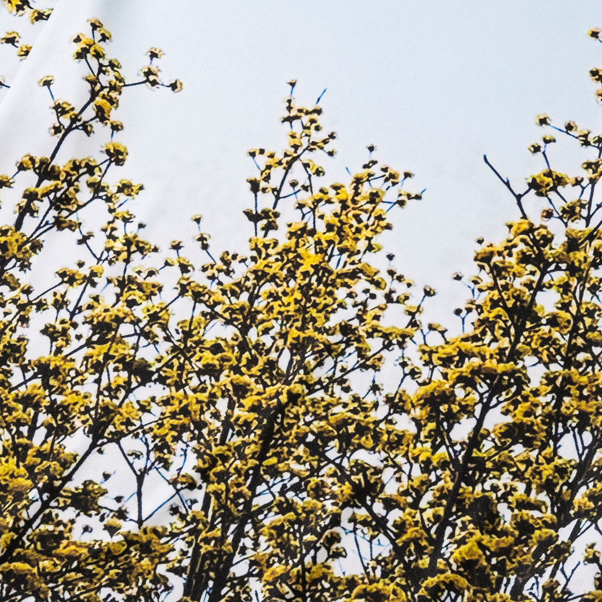 DIRECT PRINT T-SHIRT