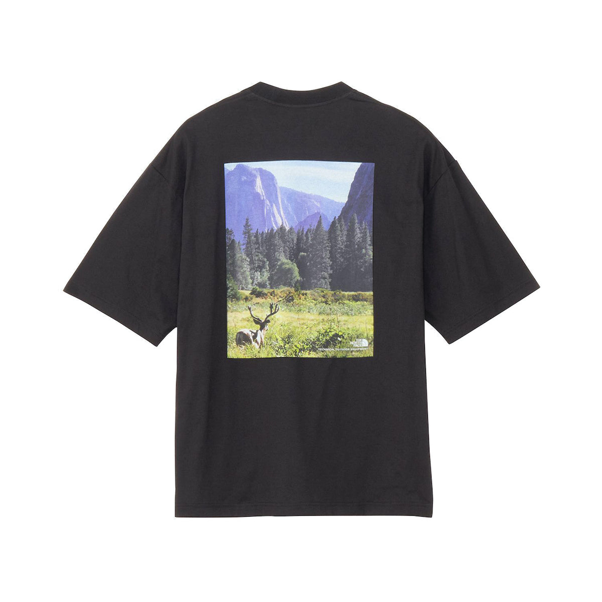 S/S YOSEMITE SCENERY TEE