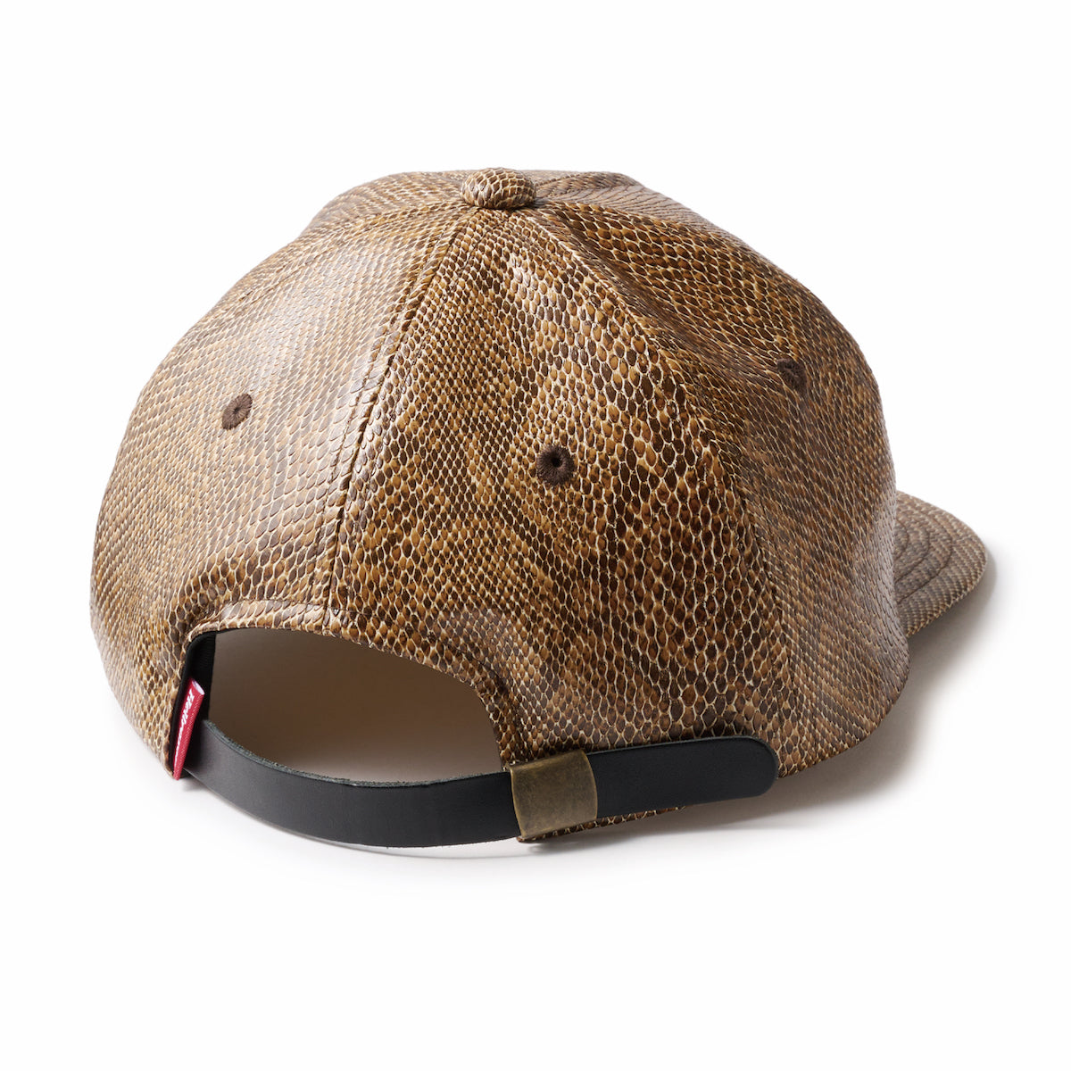 SCRIPT LOGO PYTHON 5PANEL