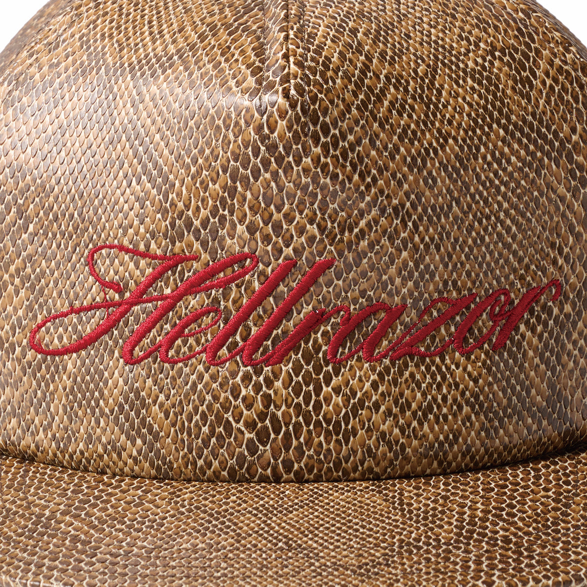 SCRIPT LOGO PYTHON 5PANEL
