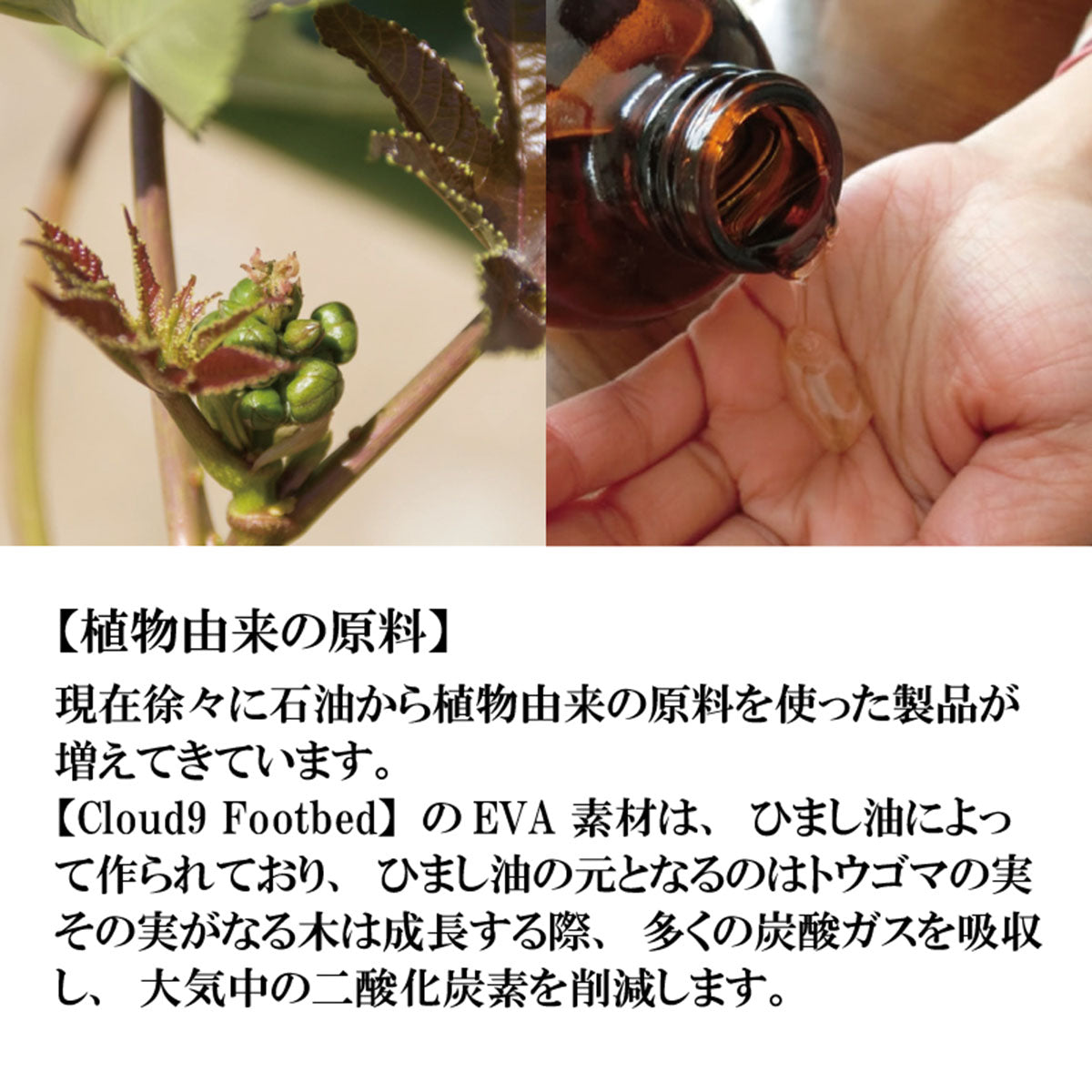 Cloud9 Slide - Unisex