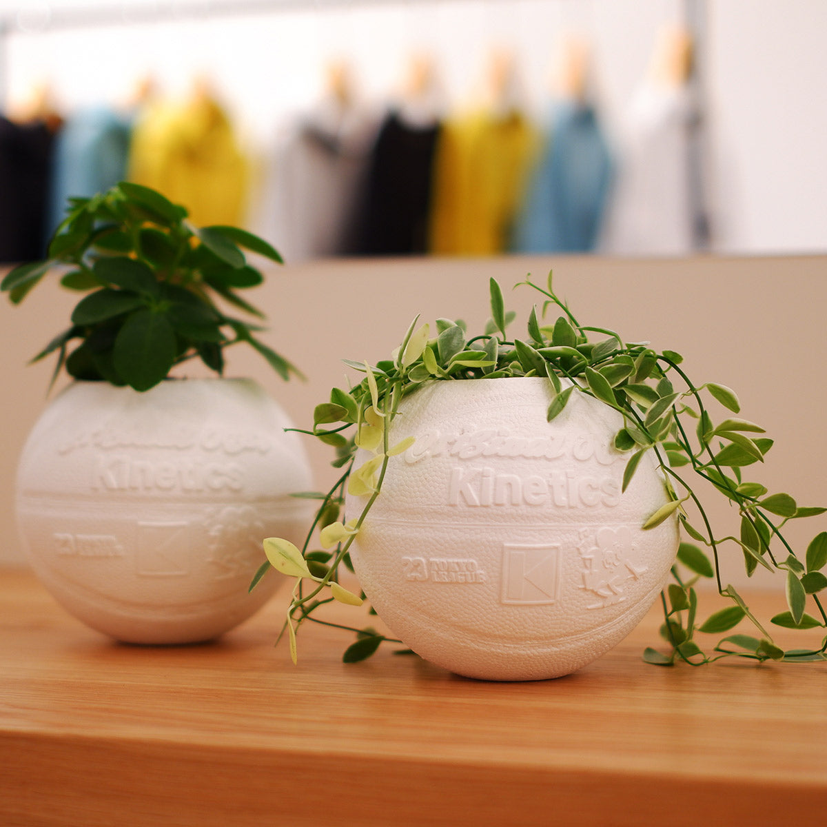 Original Rose× BASKETBALL PLANTER