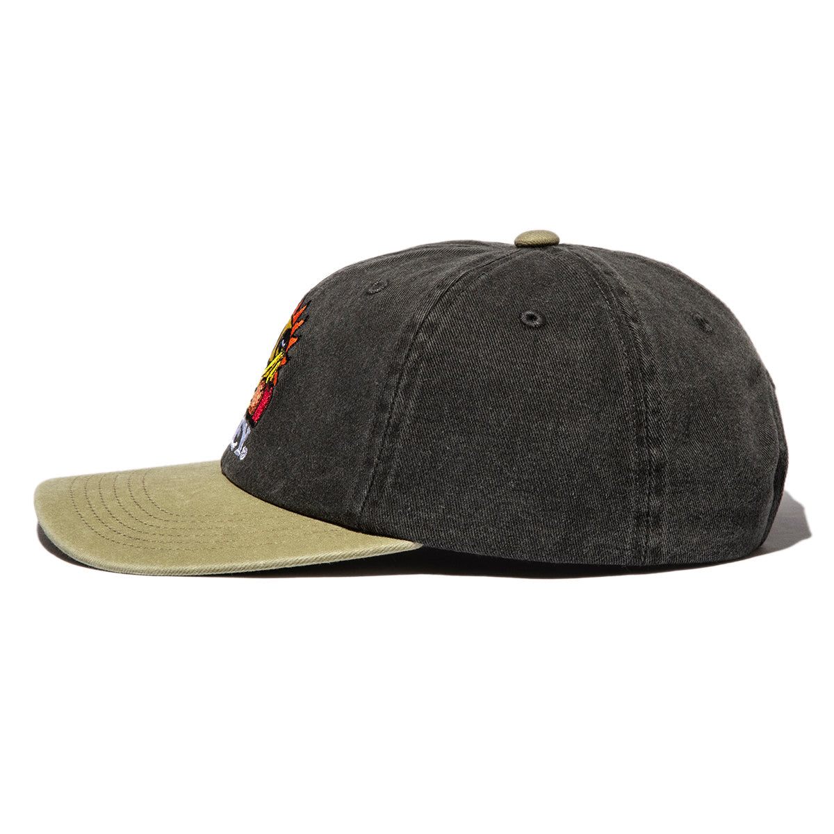 PIGMENT FRUITS 6 PANEL SNAPBACK