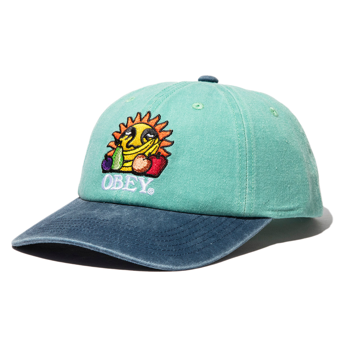 PIGMENT FRUITS 6 PANEL SNAPBACK