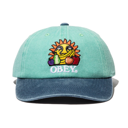 PIGMENT FRUITS 6 PANEL SNAPBACK