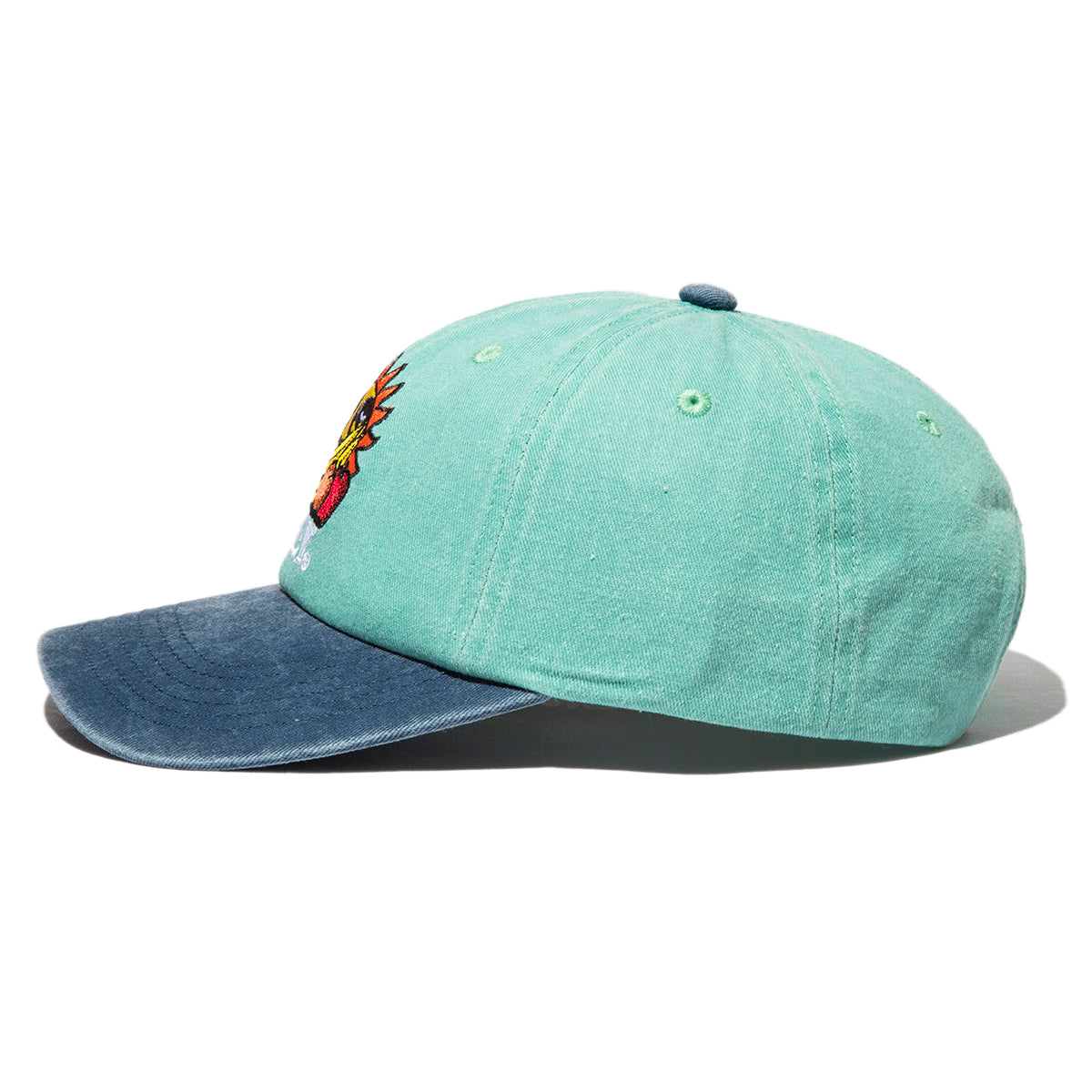 PIGMENT FRUITS 6 PANEL SNAPBACK