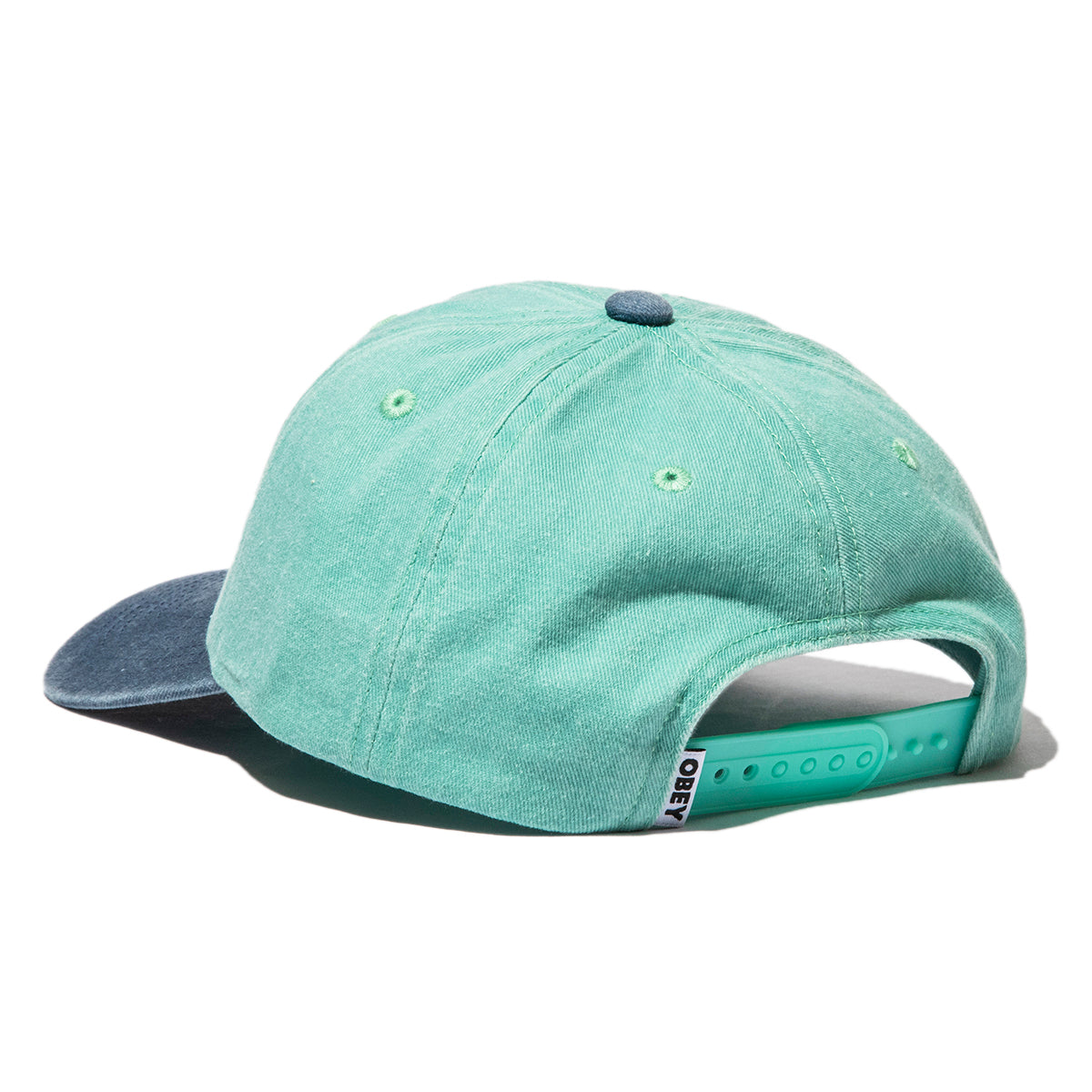 PIGMENT FRUITS 6 PANEL SNAPBACK