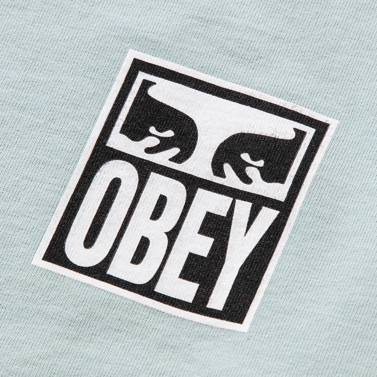 OBEY EYES ICON 2