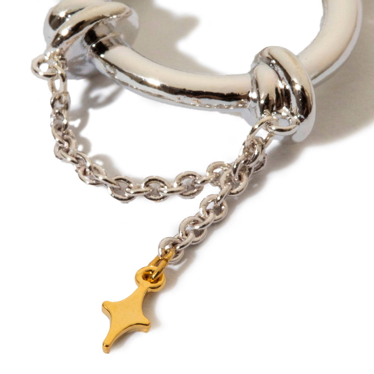 Ornament pierced earrings