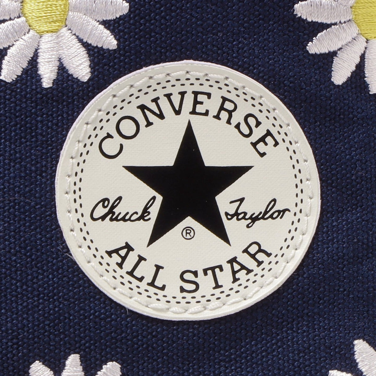 ALL STAR (R) DAISYFLOWER HI 【3月8日発送予定】