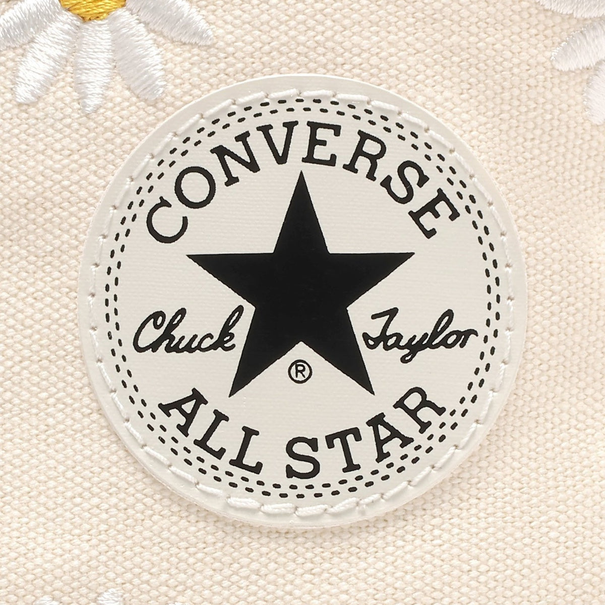 ALL STAR (R) DAISYFLOWER HI 【3月8日発送予定】