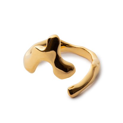 Drip Ring