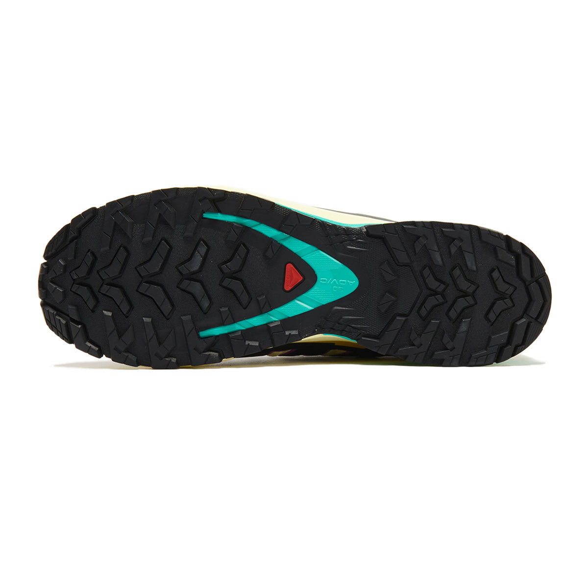 SALOMON XA PRO 3D V9 GORE-TEX サロモン XA PRO 3D V9 ゴアテックス L47882200【レディース トレイルランニング 安定性 防水性 クッション性 耐久性 サポート 25FW】