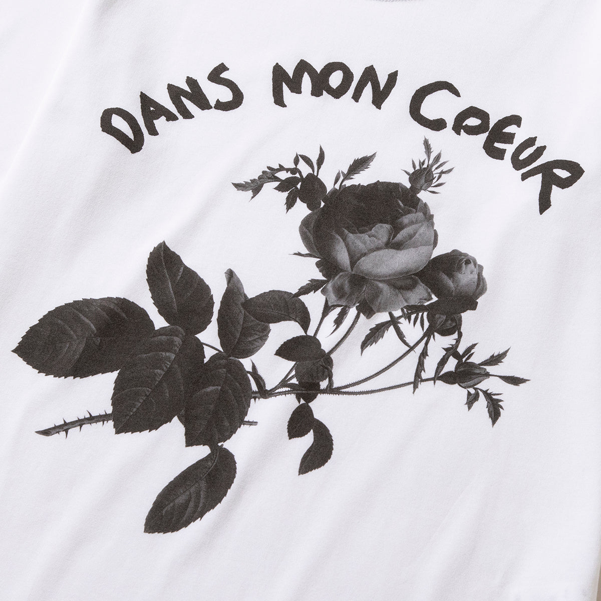 MIYAO Inkjet-printed T-shirt ミヤオ インクジェットプリントＴシャツ MDTS-01【レディース WOMENブランド 楽天NG 25FW】