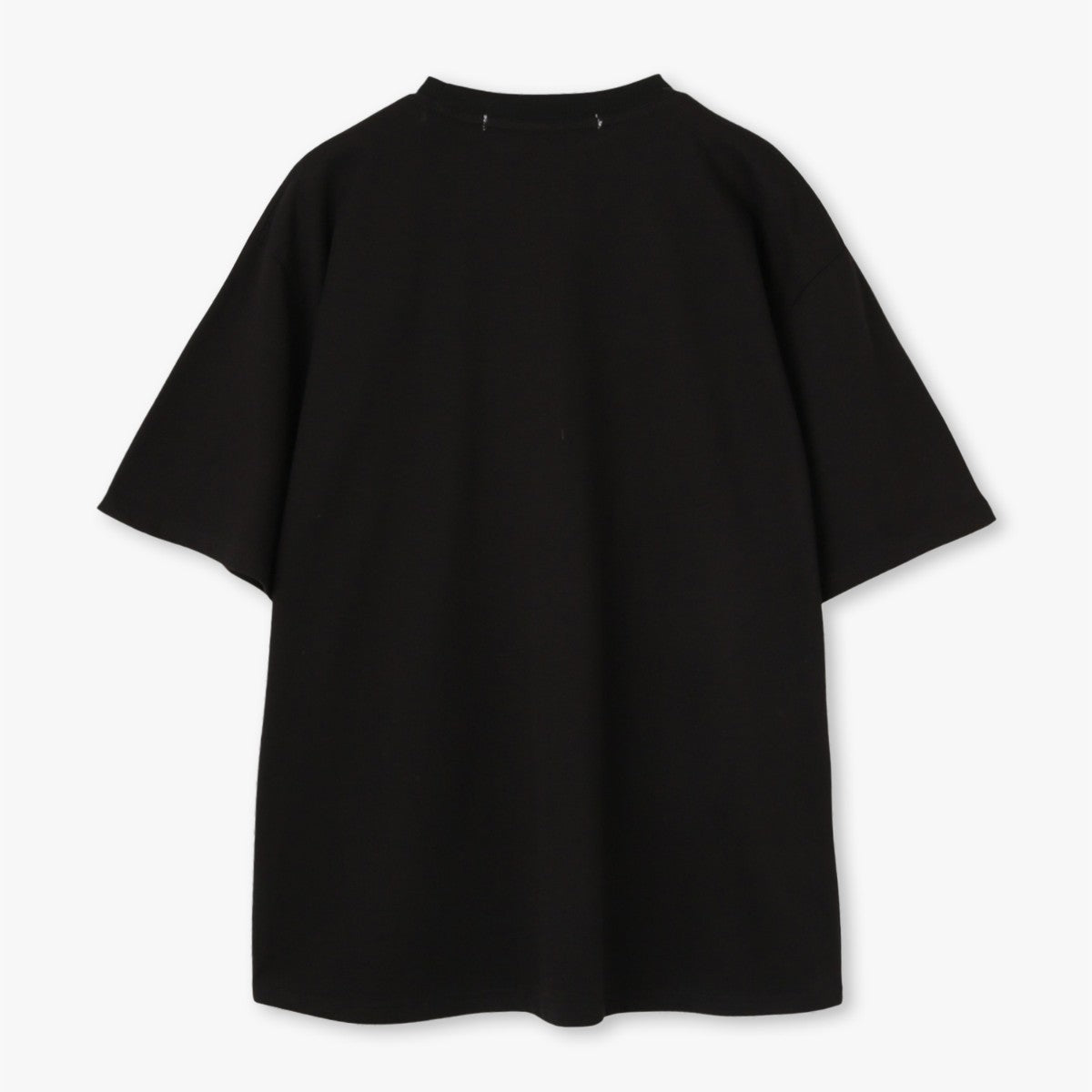 ANNA SUI NYC LINGERIE PRINT BIG T-SHIRT アナスイ エヌワイシー ランジェリープリントBIG Tシャツ 15213300【レディース 半袖Tシャツ フロントプリントプリント ビッグシルエット レースモチーフ フェミニン 25FW】