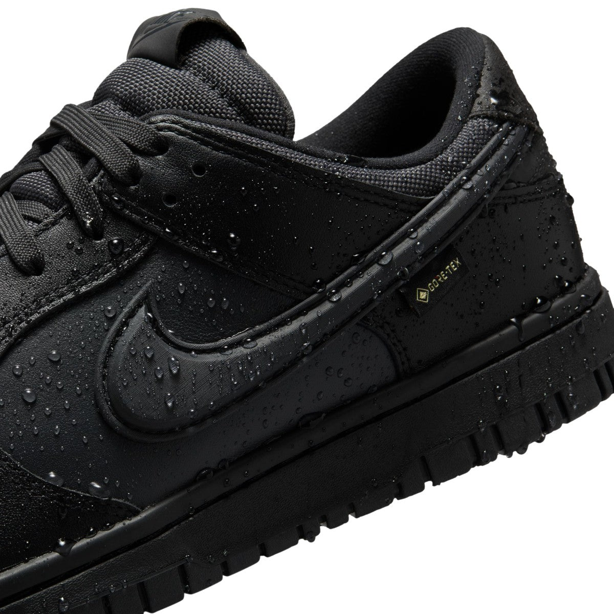 NIKE Dunk Low Gore-Tex HQ2053-001 – Kinetics（キネティクス 