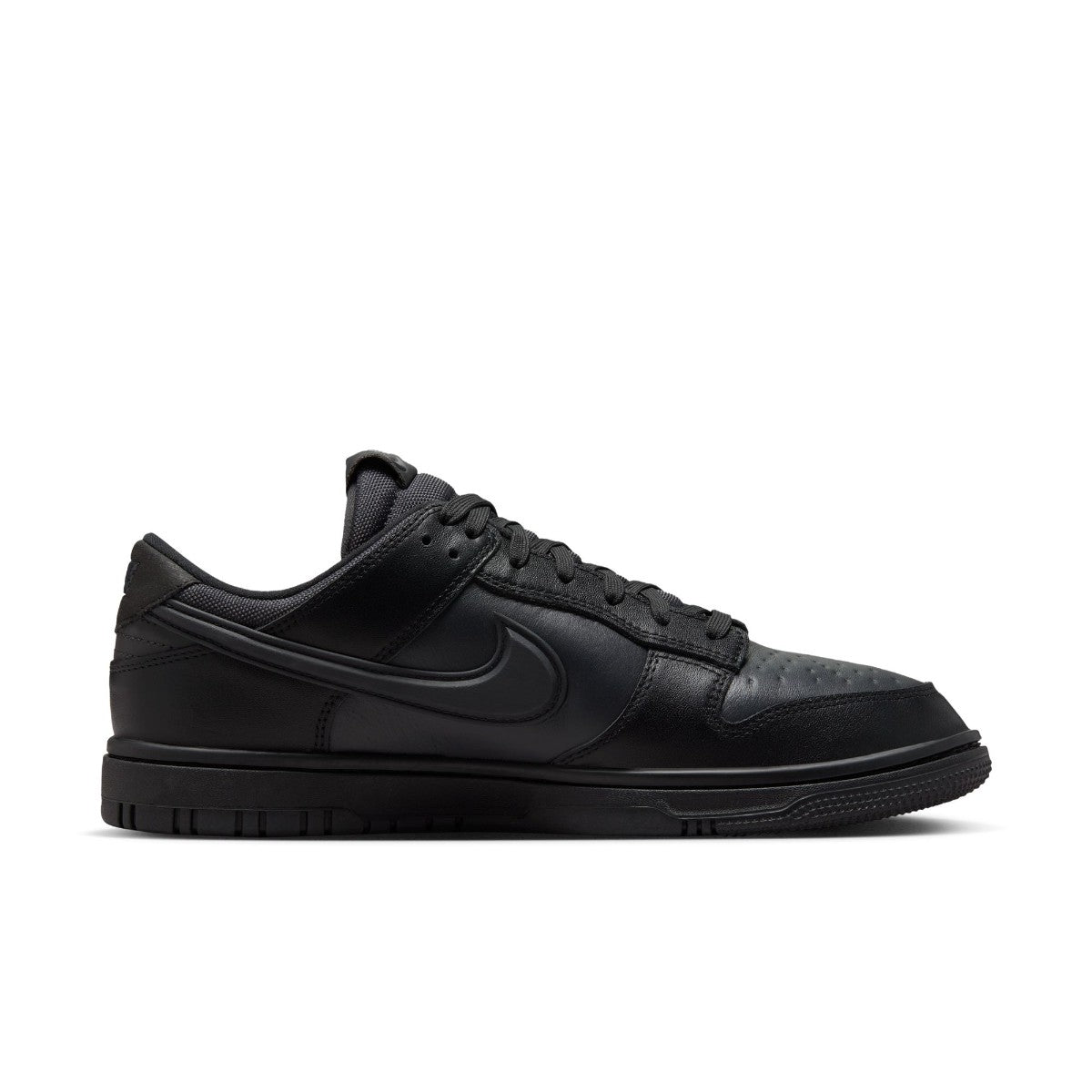 NIKE Dunk Low Gore-Tex HQ2053-001 – Kinetics（キネティクス