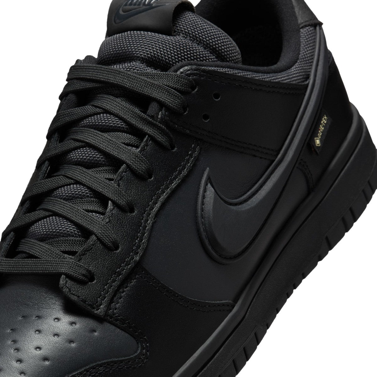 NIKE Dunk Low Gore-Tex HQ2053-001 – Kinetics（キネティクス 