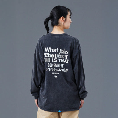 Liberaiders MULTI FONT L/S TEE リベレイダース マルチ フォント ロングスリーブ ティー 77505【メンズ 長袖Tシャツ 起毛 天竺 ヴィンテージ風 バックプリント 25FW】