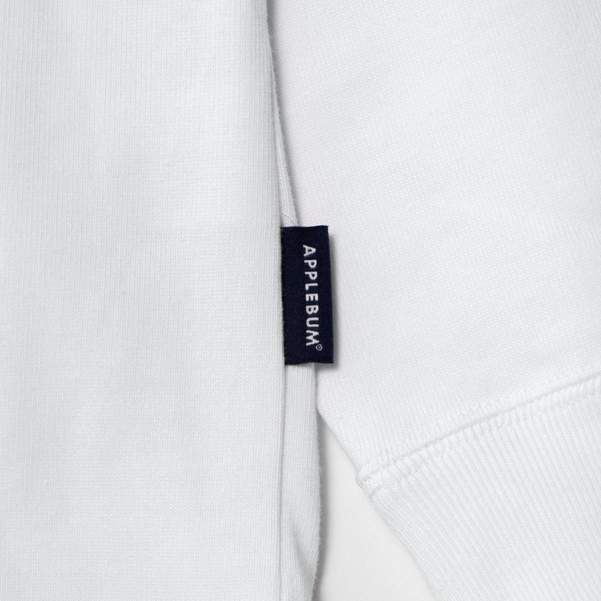 APPLEBUM “ERIC COLEMAN” L/S T-SHIRT-MV1 アップルバム “エリック・コールマン” ロングスリーブ Tシャツ-MV1 EC2511105【メンズ 長袖Tシャツ カットソー グラフィックプリント ヘビーウェイト コラボレーション 25FW】