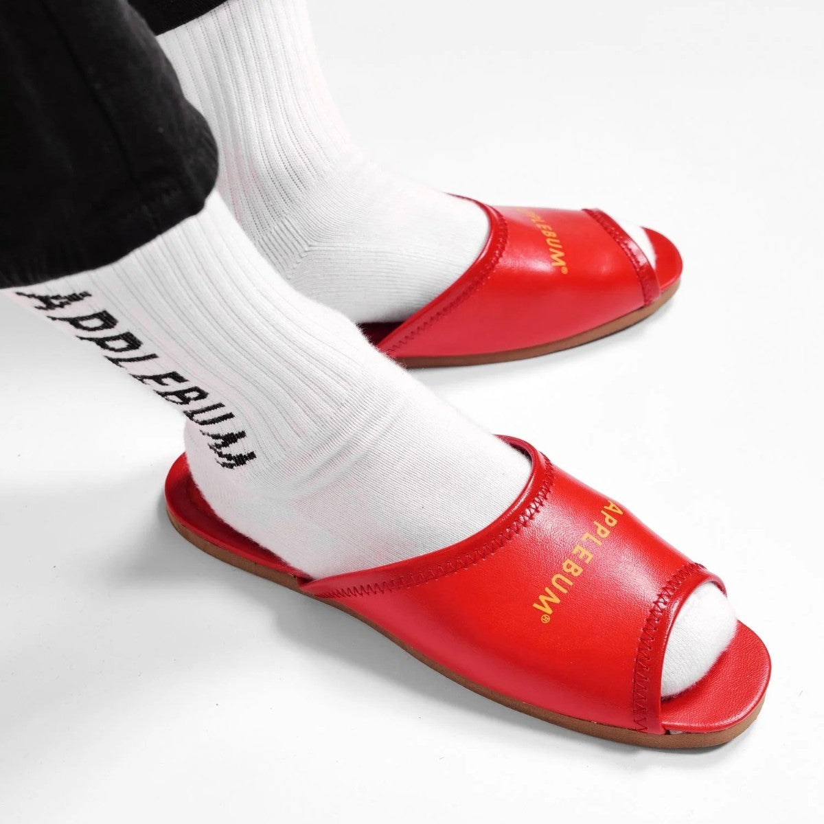 APPLEBUM Logo Slippers アップルバム ロゴ スリッパ 2521004【メンズ 室内用スリッパ レトロ ロゴ入り  25FW】