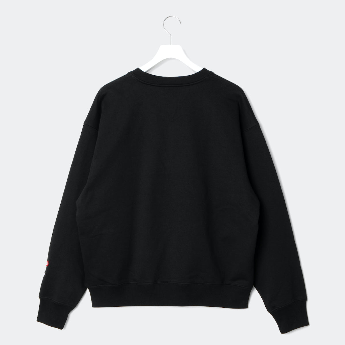 APPLEBUM “TOKYO UNDERGROUND UNIVERSITY” Crew アップルバム “トーキョーアンダーグラウンド ユニバーシティ” クルー GT2520404【メンズ スウェット ヘビーウェイト カレッジロゴ コラボ 販路限定 25FW】