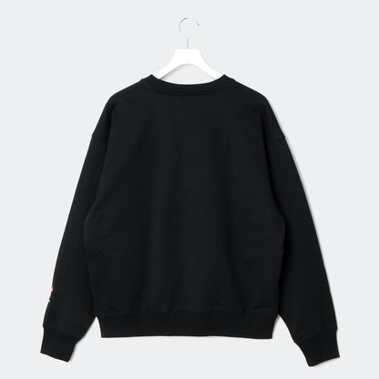 APPLEBUM “TOKYO UNDERGROUND UNIVERSITY” Crew アップルバム “トーキョーアンダーグラウンド ユニバーシティ” クルー GT2520404【メンズ スウェット ヘビーウェイト カレッジロゴ コラボ 販路限定 25FW】