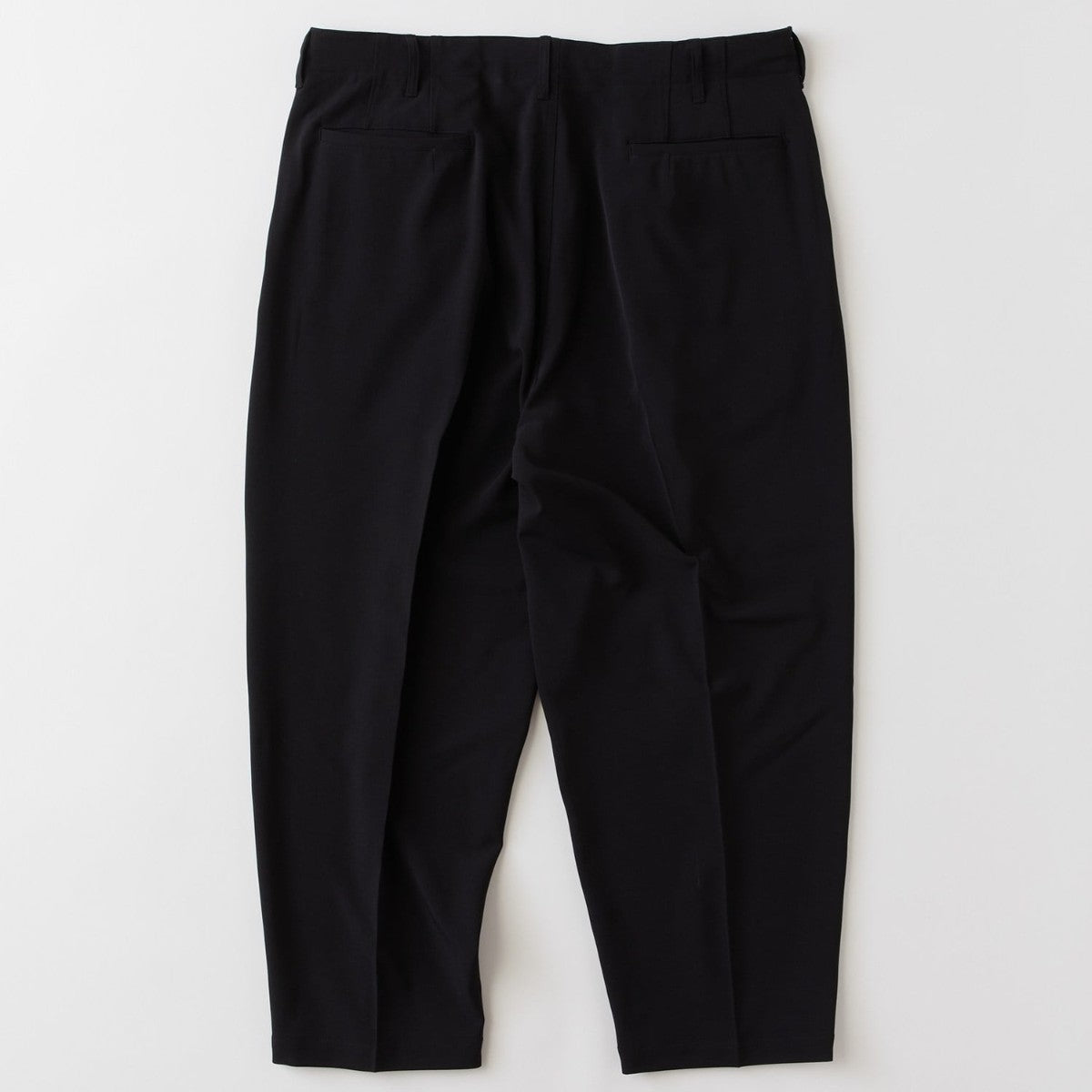 FAT N.T. "THUNDER" エフエイティー N.T. "サンダー" F32610-PN19【メンズ コラボ ワイドテーパード イージーパンツ ベルトレス 26SS】