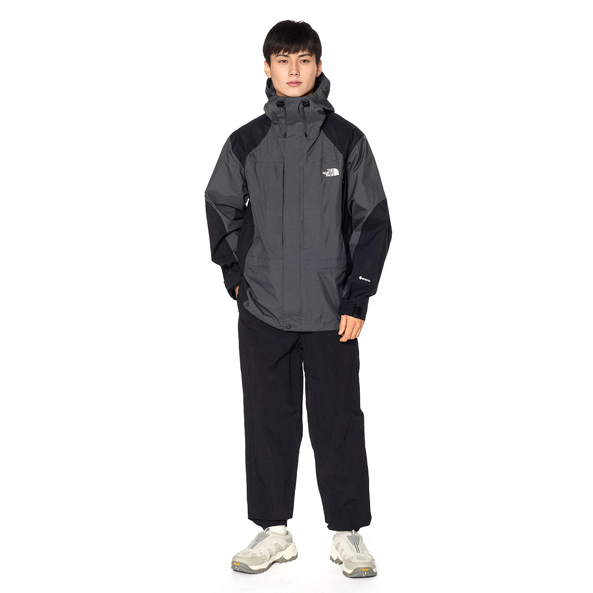 THE NORTH FACE 2000 Retro Mountain Light Jacket NP12651 – Kinetics