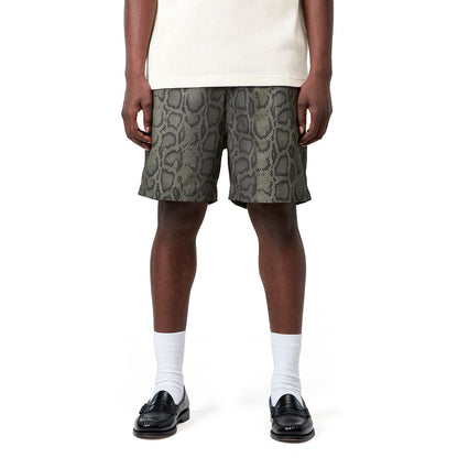 Carhartt WIP SLATER SWIM TRUNKS カーハートワークインプログレス スレーター スイム トランクス I035063【メンズ スイムトランクス 撥水 ポリエステル グラフィックプリント イージーショーツ 26SS】