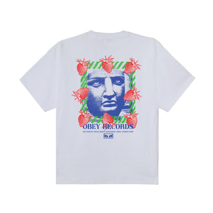 OBEY GARDEN HEAVYWEIGHT T-SHIRT オベイ ガーデン ヘビーウェイト Tシャツ 168024405【メンズ コットン素材 グラフィック 26SS】