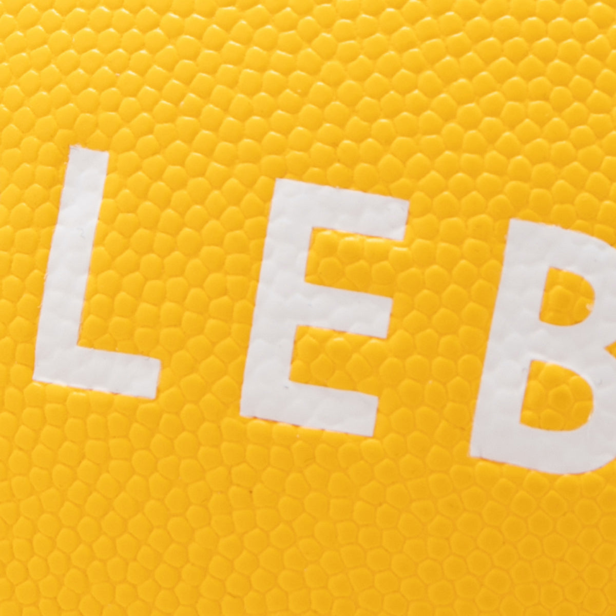 APPLEBUM APPLEBUM × TACHIKARA CUSTOM BASKETBALL “Y.E.L.” アップルバム アップルバム × タチカラ カスタムバスケットボール “Y.E.L.” 2611010Y【メンズ バスケットボール エンボスロゴ アウトドア 26SS】