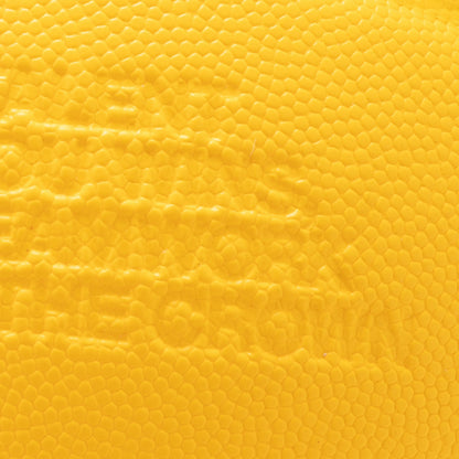 APPLEBUM APPLEBUM × TACHIKARA CUSTOM BASKETBALL “Y.E.L.” アップルバム アップルバム × タチカラ カスタムバスケットボール “Y.E.L.” 2611010Y【メンズ バスケットボール エンボスロゴ アウトドア 26SS】