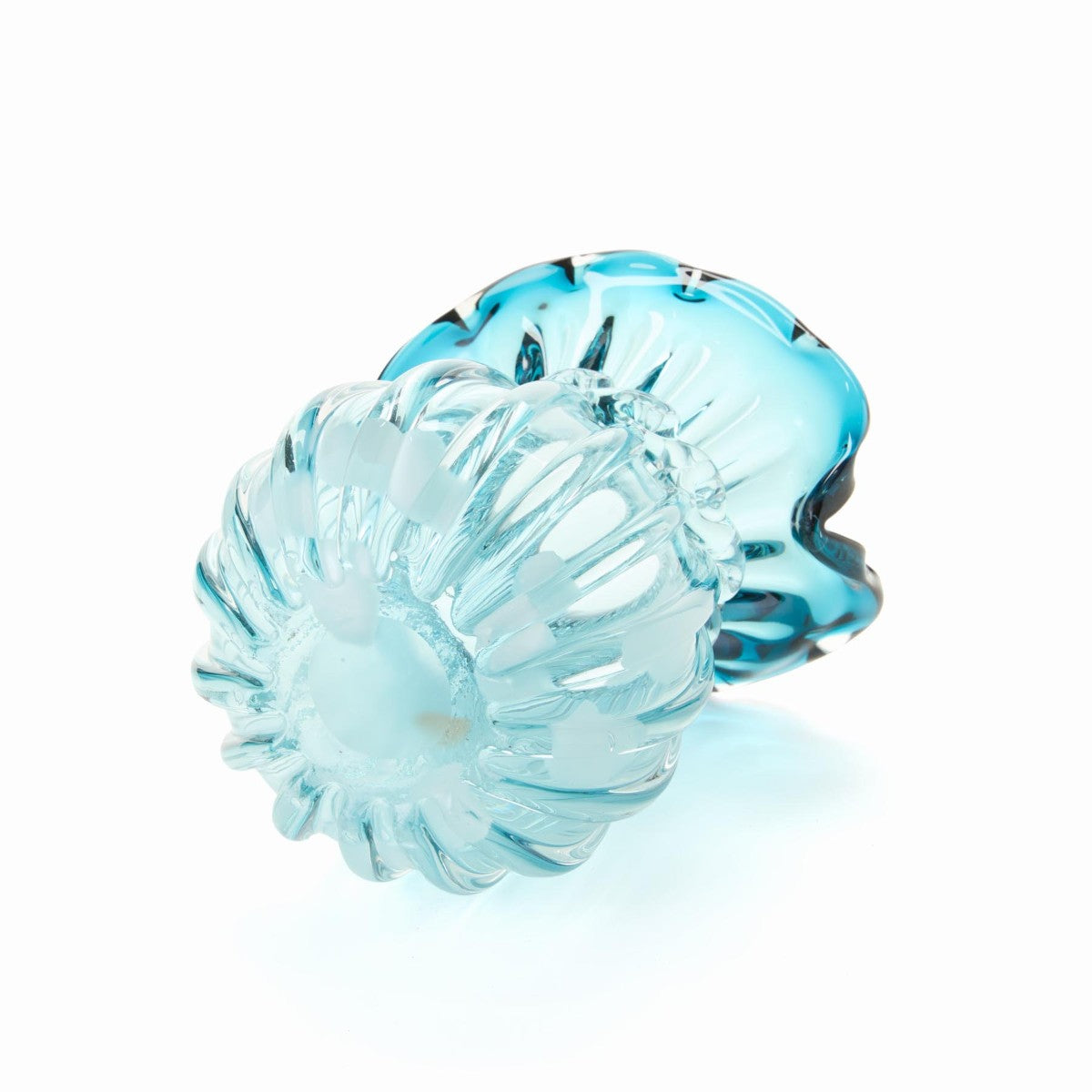 Casselini Glass Flower Vase AO 259-600873 – Kinetics（キネティクス