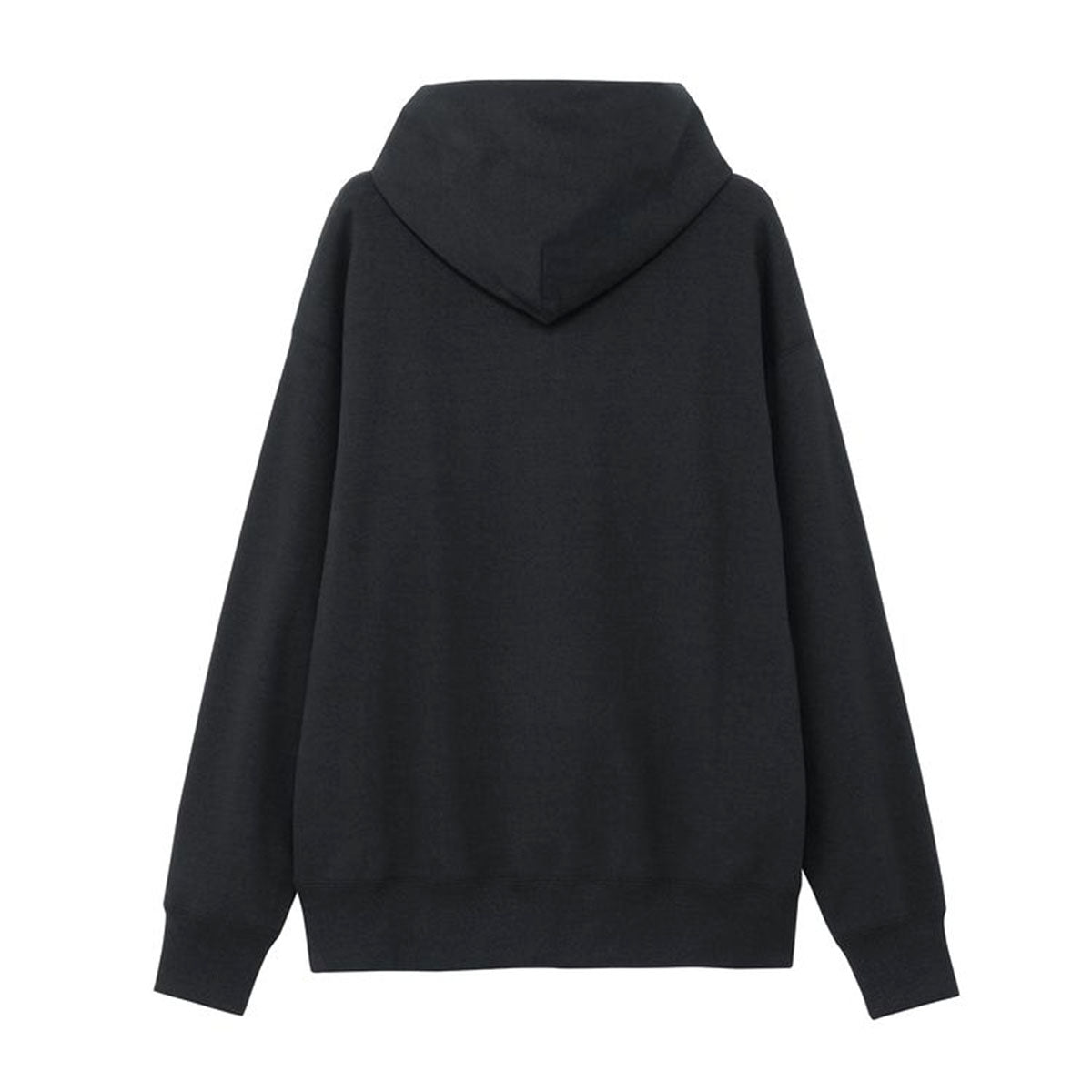 THE NORTH FACE ZOO PICA HOODIE ザ・ノース・フェイス ズーピッカーフーディ NT12645【メンズ スウェットパーカー プルオーバー リラックスフィット サステナブルファッション 26SS】