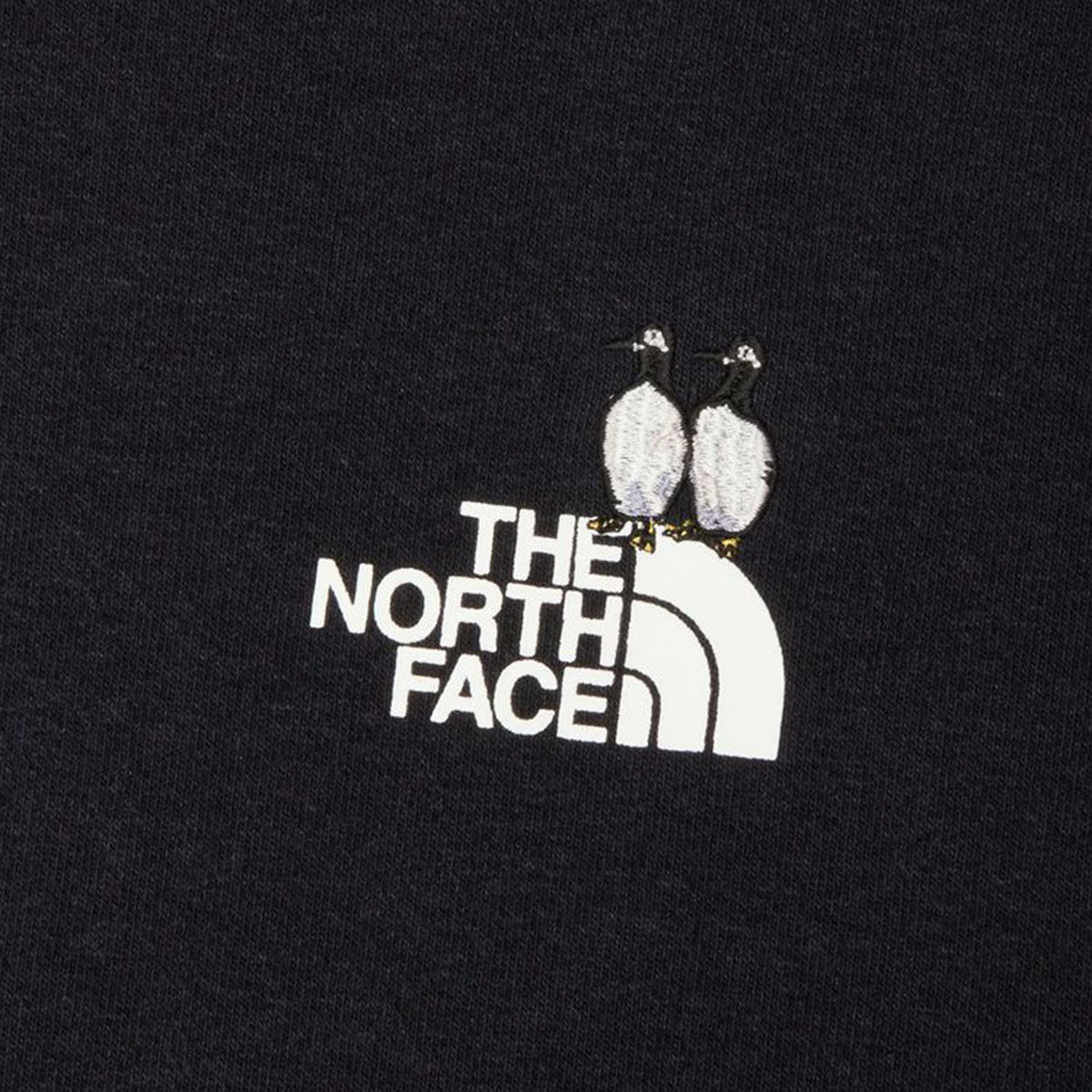 THE NORTH FACE ZOO PICA HOODIE ザ・ノース・フェイス ズーピッカーフーディ NT12645【メンズ スウェットパーカー プルオーバー リラックスフィット サステナブルファッション 26SS】