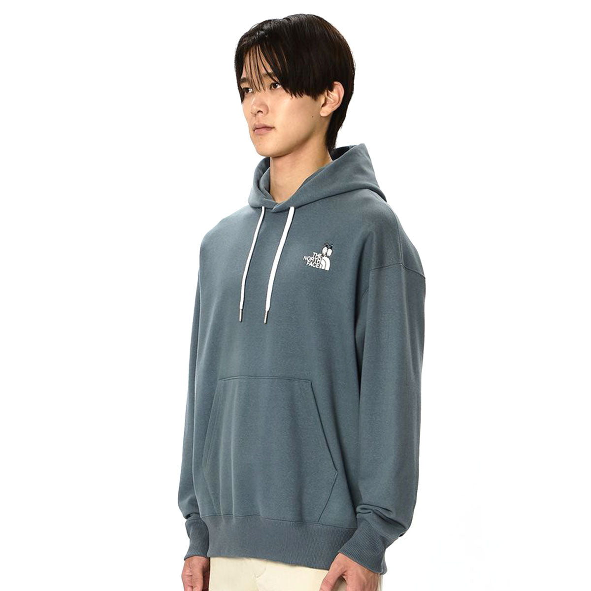 THE NORTH FACE ZOO PICA HOODIE ザ・ノース・フェイス ズーピッカーフーディ NT12645【メンズ スウェットパーカー プルオーバー リラックスフィット サステナブルファッション 26SS】