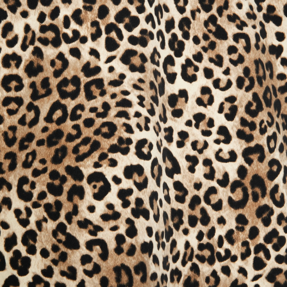 APPLEBUM “Leopard” Coach Jacket アップルバム “レオパード” コーチジャケット 2610606【メンズ ジャケット コーチジャケット メンズ アウター 軽量 26SS】