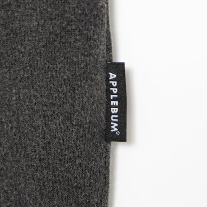 APPLEBUM “Computer-Logo” Washed T-shirt アップルバム “コンピューター ロゴ” ウォッシュド Tシャツ 2611117【メンズ 半袖 綿素材 グラフィック 26SS】