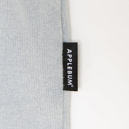 APPLEBUM “Computer-Logo” Washed T-shirt アップルバム “コンピューター ロゴ” ウォッシュド Tシャツ 2611117【メンズ 半袖 綿素材 グラフィック 26SS】
