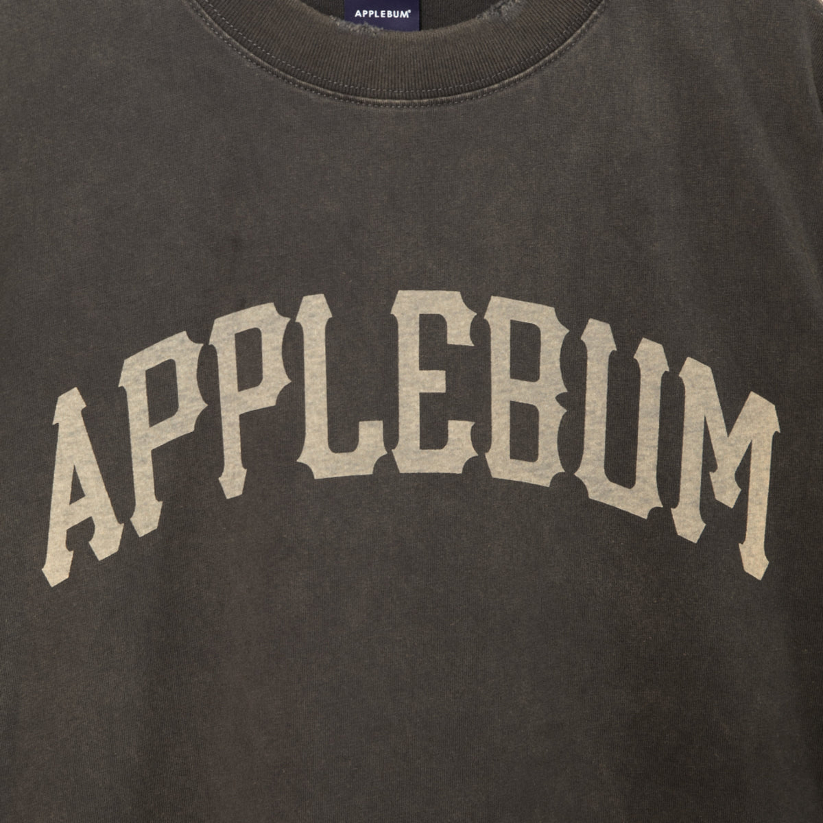 APPLEBUM Damaged Short T-Shirt アップルバム ダメージド ショート Tシャツ 2611120【メンズ ヴィンテージTシャツ メンズ 半袖Tシャツ ダメージ加工Tシャツ 26SS】