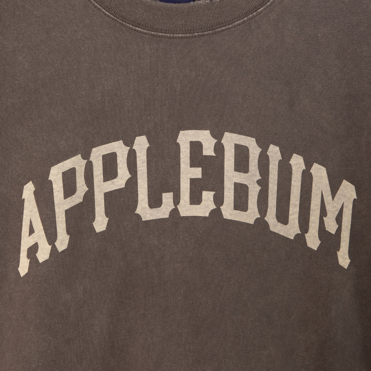 APPLEBUM Damaged Short T-Shirt アップルバム ダメージド ショート Tシャツ 2611120【メンズ ヴィンテージTシャツ メンズ 半袖Tシャツ ダメージ加工Tシャツ 26SS】