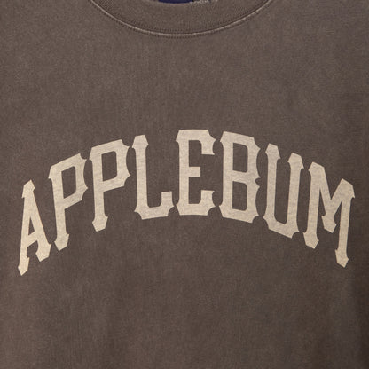 APPLEBUM Damaged Short T-Shirt アップルバム ダメージド ショート Tシャツ 2611120【メンズ ヴィンテージTシャツ メンズ 半袖Tシャツ ダメージ加工Tシャツ 26SS】