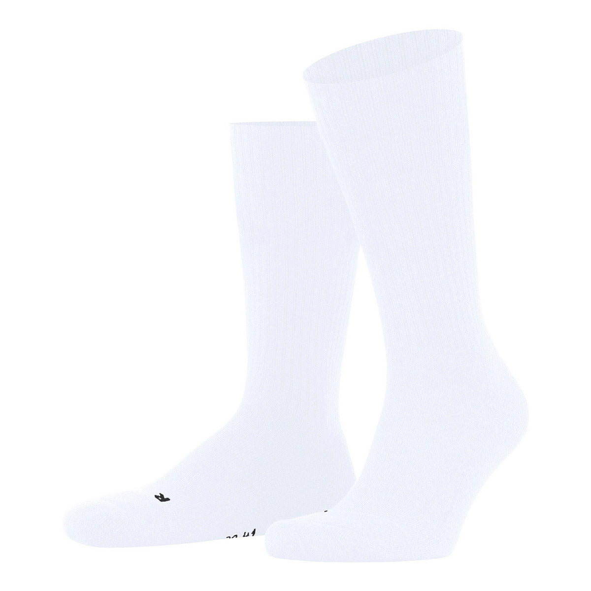 FALKE Dynamic Unisex Socks ファルケ ダイナミック ユニセックス ソックス 12601【レディース LAスタイル クッション性 26SS】
