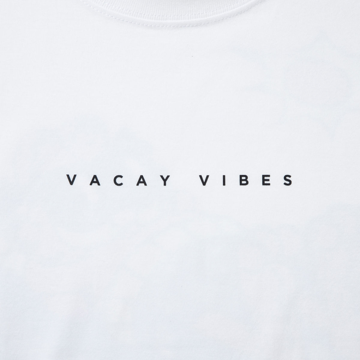 FLATLUX Garfield X Flatlux - Vacation Tee フラットラックス ガーフィールド × フラットラックス - バケーション Tシャツ FX26-202【メンズ 古着Tシャツ キャラクターTシャツ アメカジ ストリートファッション 26SS】