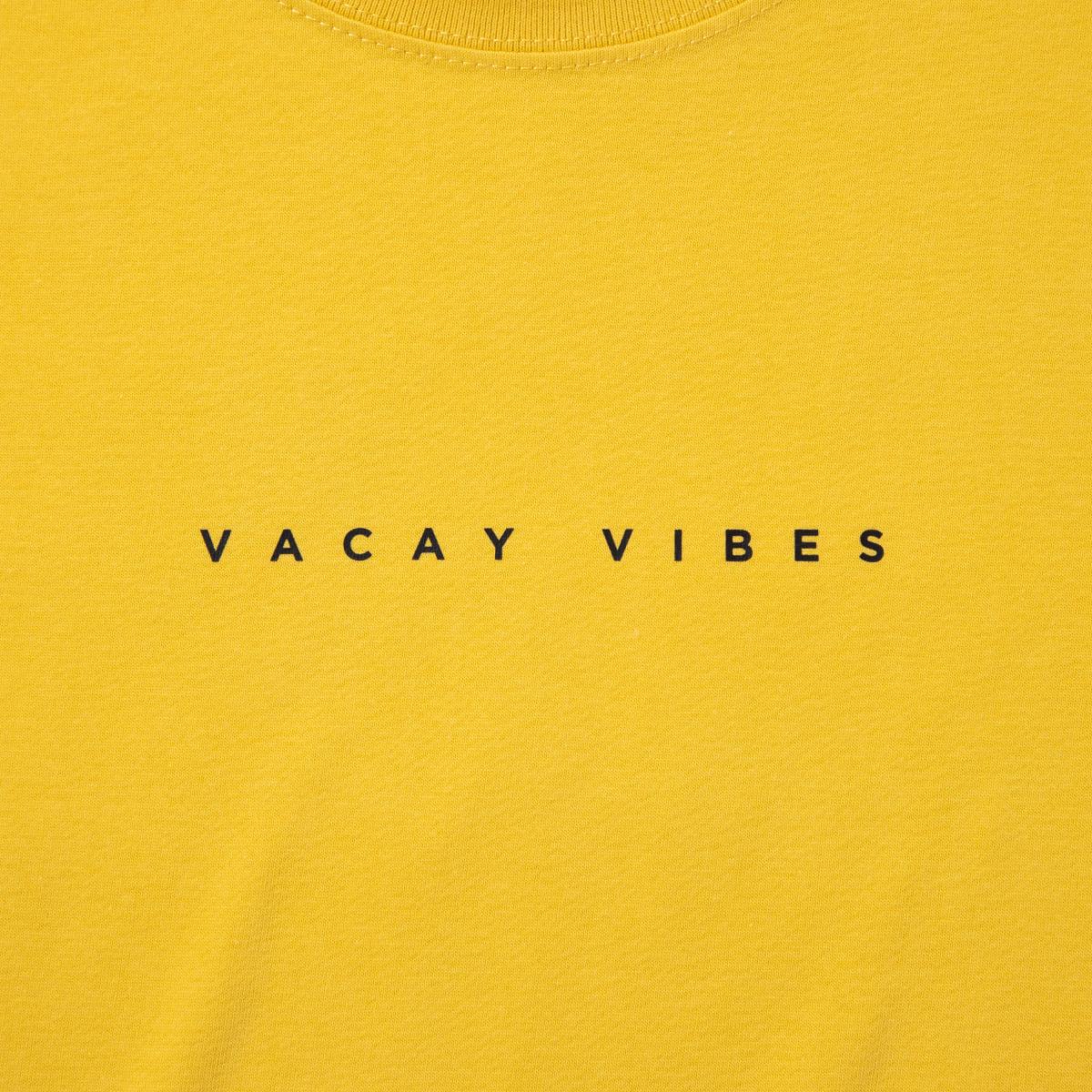 FLATLUX Garfield X Flatlux - Vacation Tee フラットラックス ガーフィールド × フラットラックス - バケーション Tシャツ FX26-202【メンズ 古着Tシャツ キャラクターTシャツ アメカジ ストリートファッション 26SS】