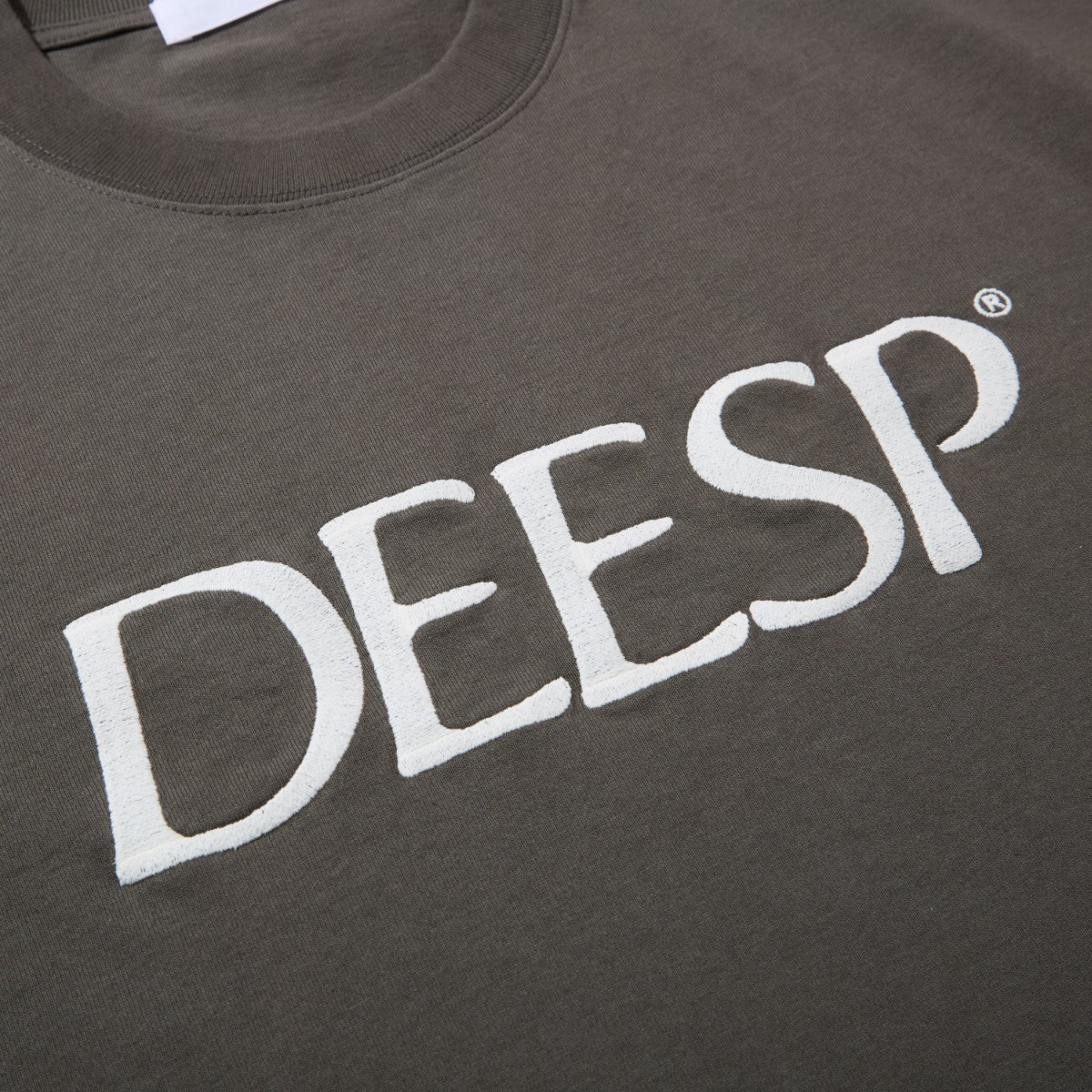 Diaspora skateboards Embroidererd LZR Tee ディアスポラ スケートボード エンブロイダードエルゼットアールティー DSP-26SS-ST01【メンズ メンズTシャツ スポーツモチーフ 刺繍ロゴ ヘビーウェイト 空紡糸 26SS】